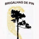 brigalhas.jpg